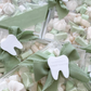 First Tooth Lolly Boxes - Medium