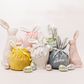 Personalised Easter Bunny Bags